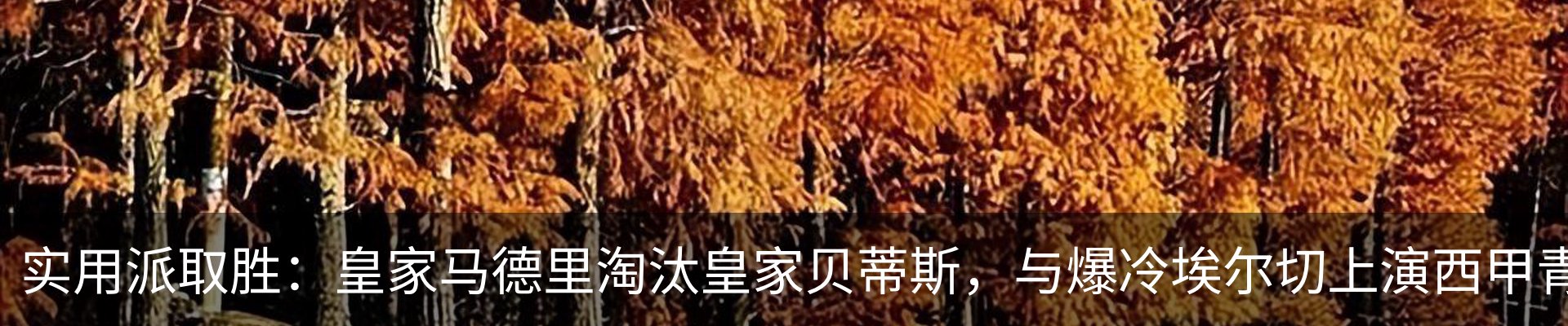 资讯中心